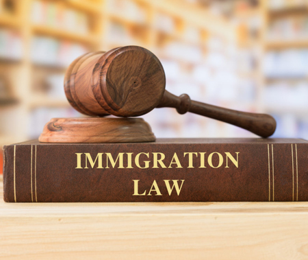 Immigration Lawyer